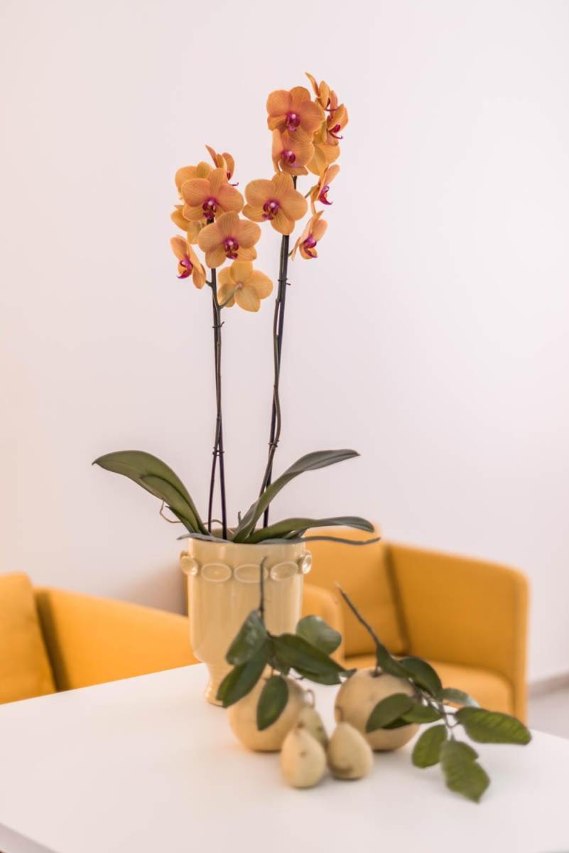 Le Residenze di Don Nino  Appartement Lecce Buitenkant foto